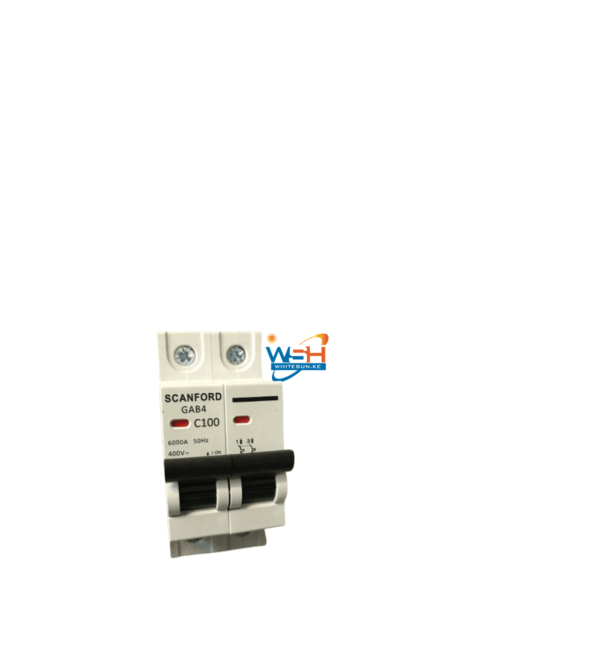 Scanford double pole mcb 100a 
