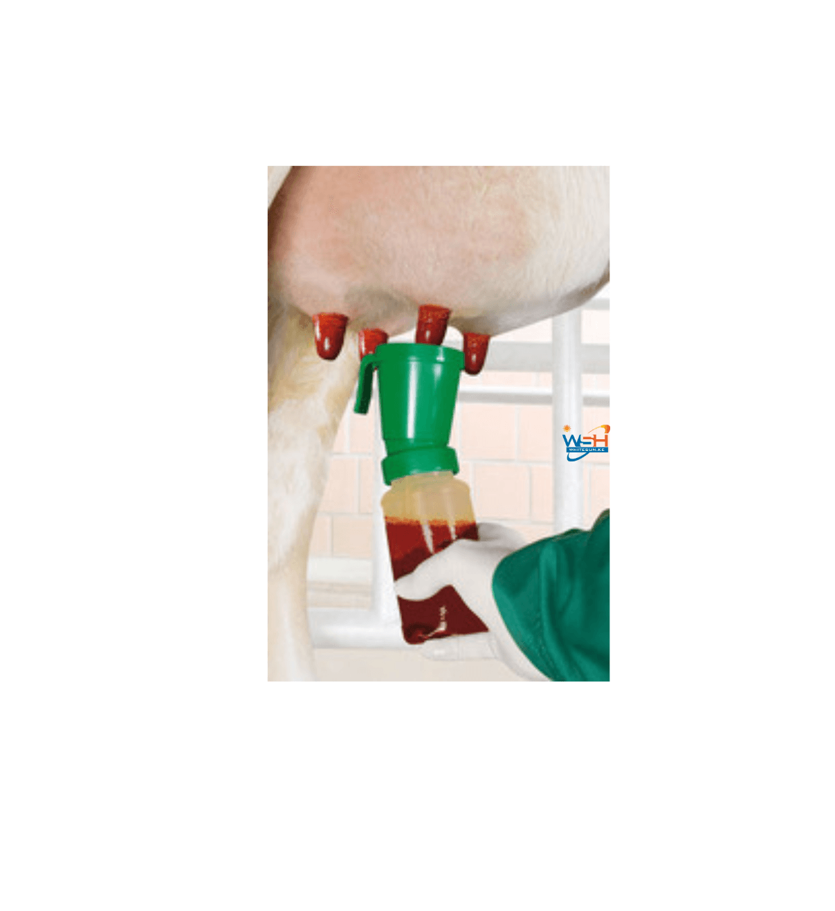 Dip Cup Thumbnail 2