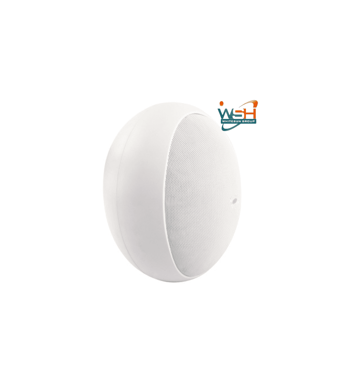 TS-605T Conference Room Wall-mounted Speaker