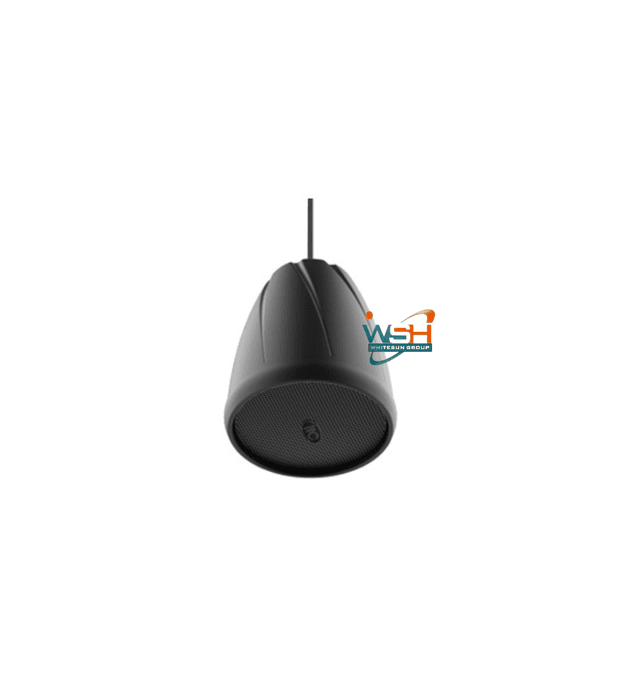 t-750d-pendent-speaker