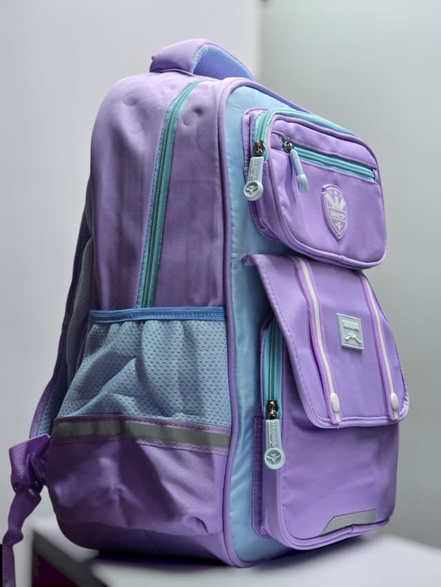 201-whitesun-elementary-school-bag-for-girls-spacious-well-padded-quality-birthday-gift-for-daughter-niece-friend-cousin-purple-color