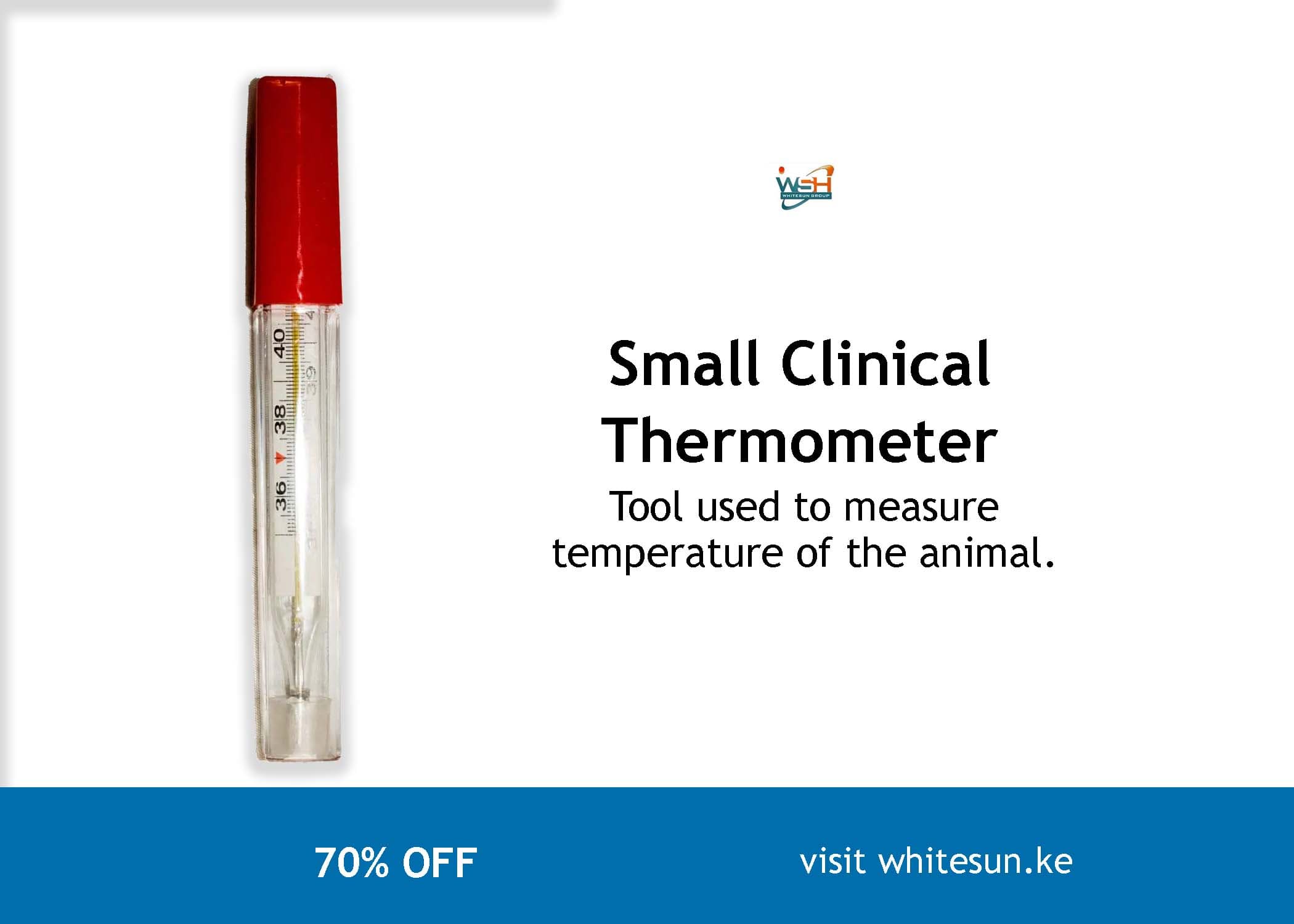 Small Clinical Thermometer Thumbnail 2