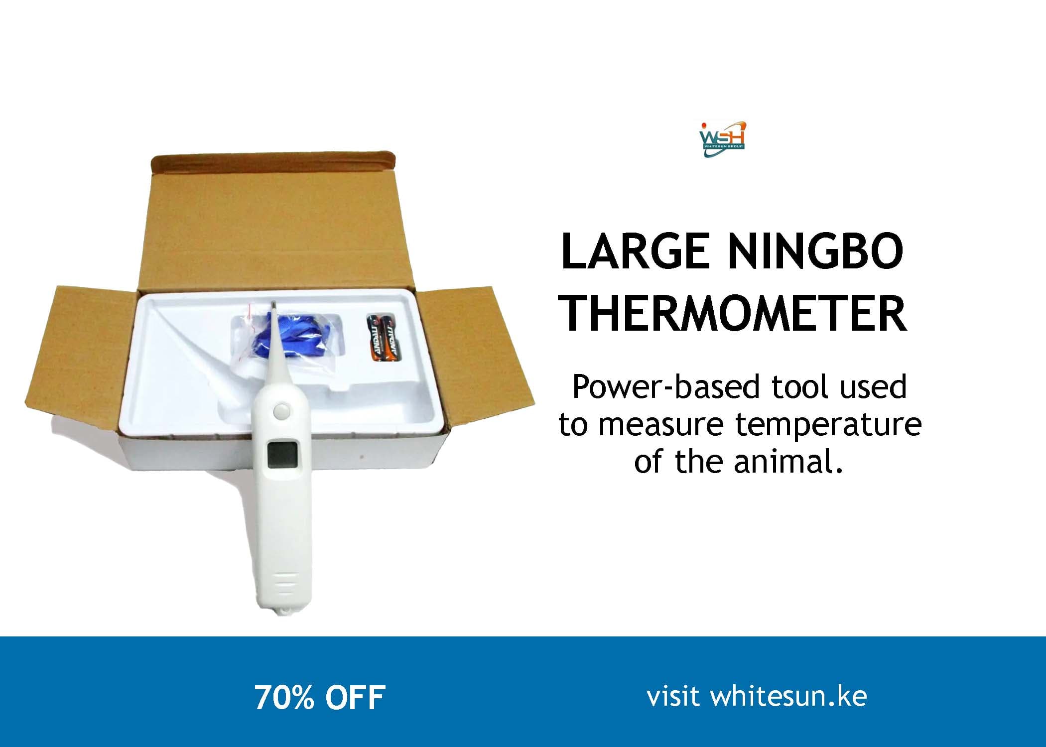 LARGE NINGBO THERMOMETER Thumbnail 2
