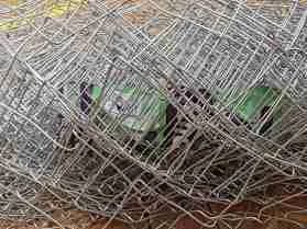 Zingira Chain Link 6 Feet High