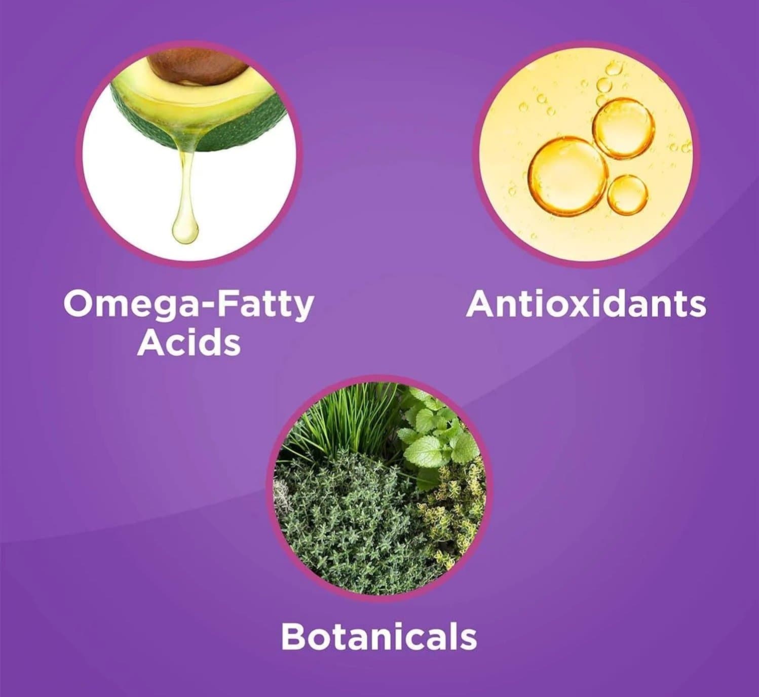 Gold Bond Age Renew Crepe Corrector Body Lotion, 384 mL Thumbnail 2