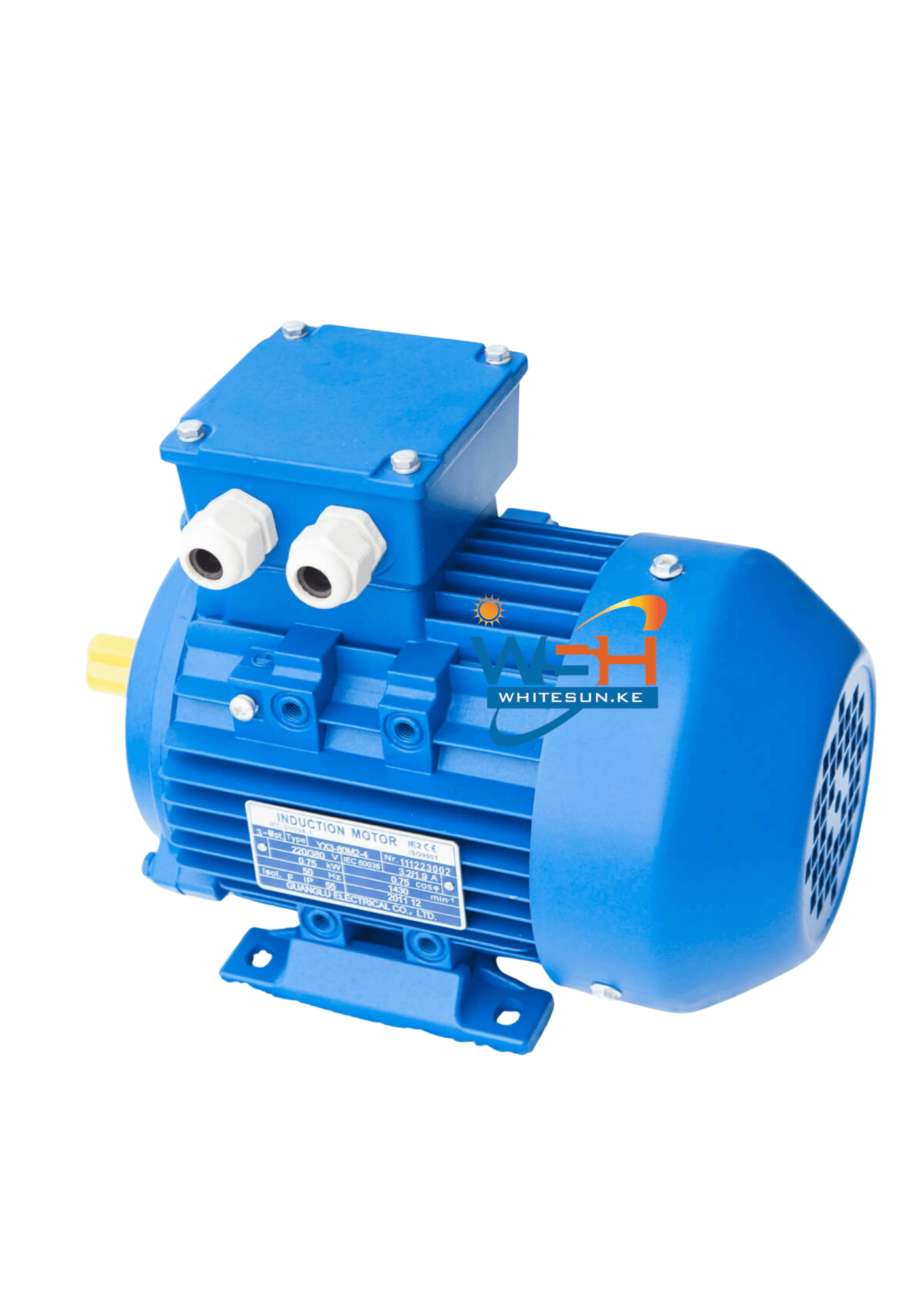 10HP Astramilano Low Speed Electric Motor Single Phase Thumbnail 2