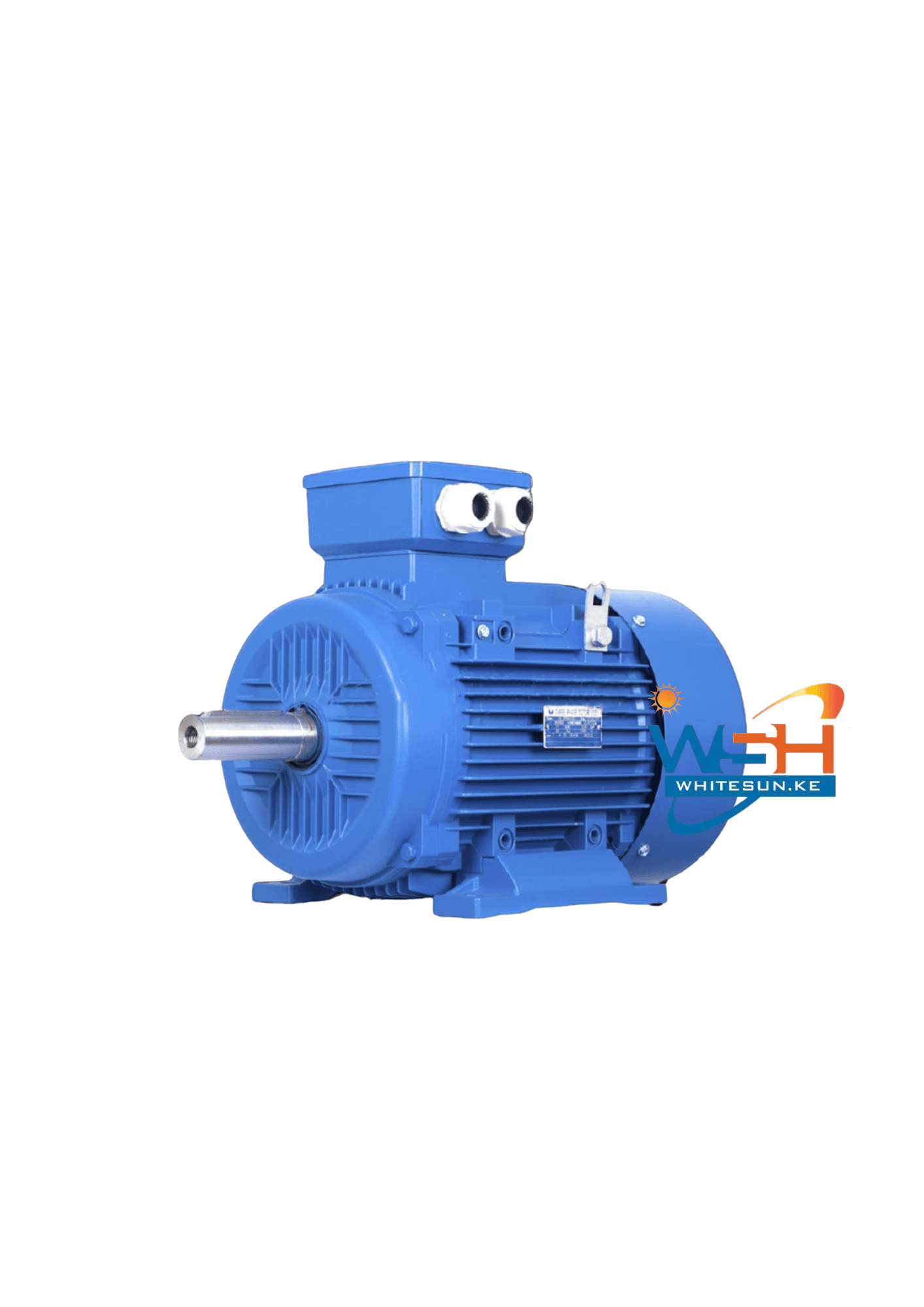 7.5HP Astramilano Low Speed Electric Motor Single Phase Thumbnail 2
