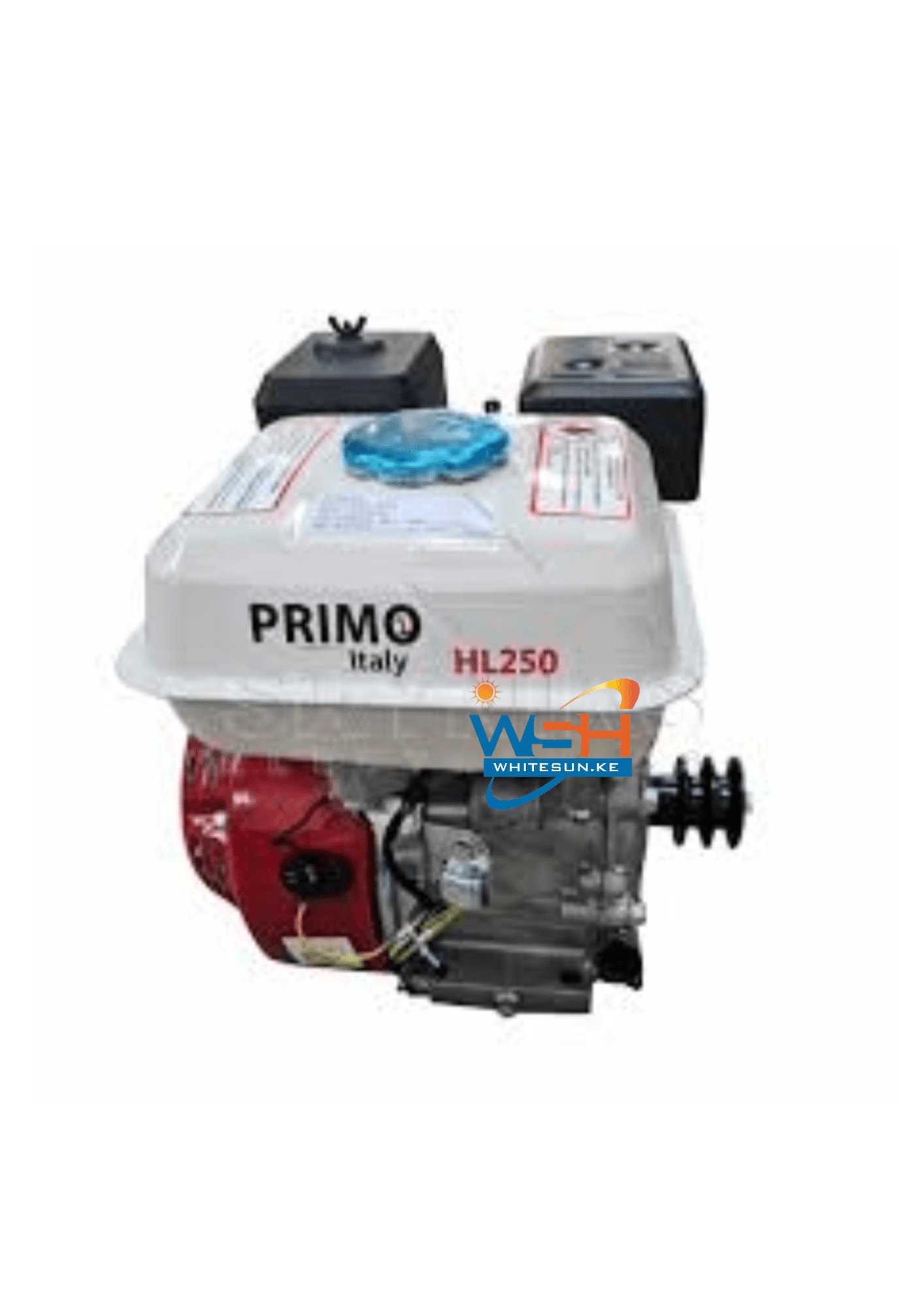 9Hp Primo Italy Diesel Engine HL186F - Blue Key Shaft