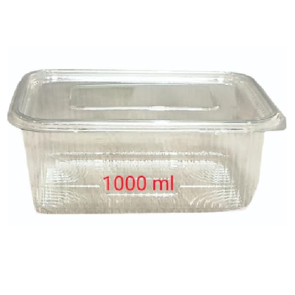 Container 1000Ml / Cc (Pet) (Hinged Lid Attached) – Pack Of 20 Pcs