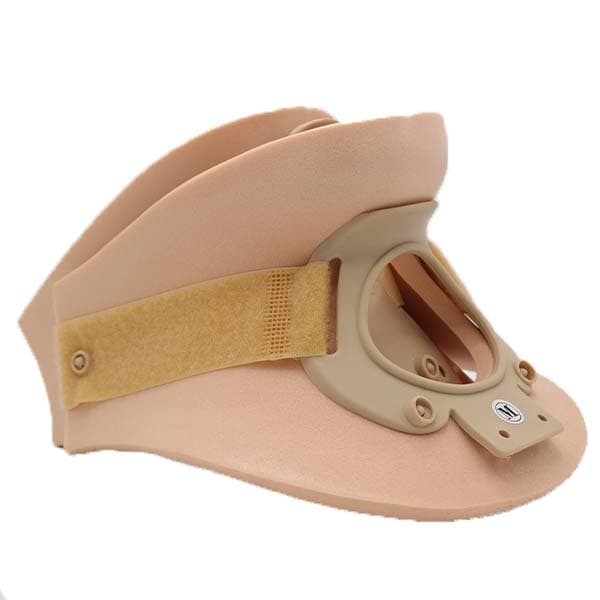 Trachea Open Collar Large Thumbnail 2