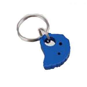 keyring-cam