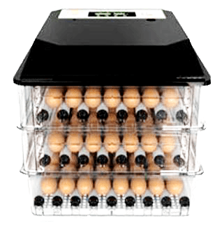egg-incubators-dual-power-1000-eggs