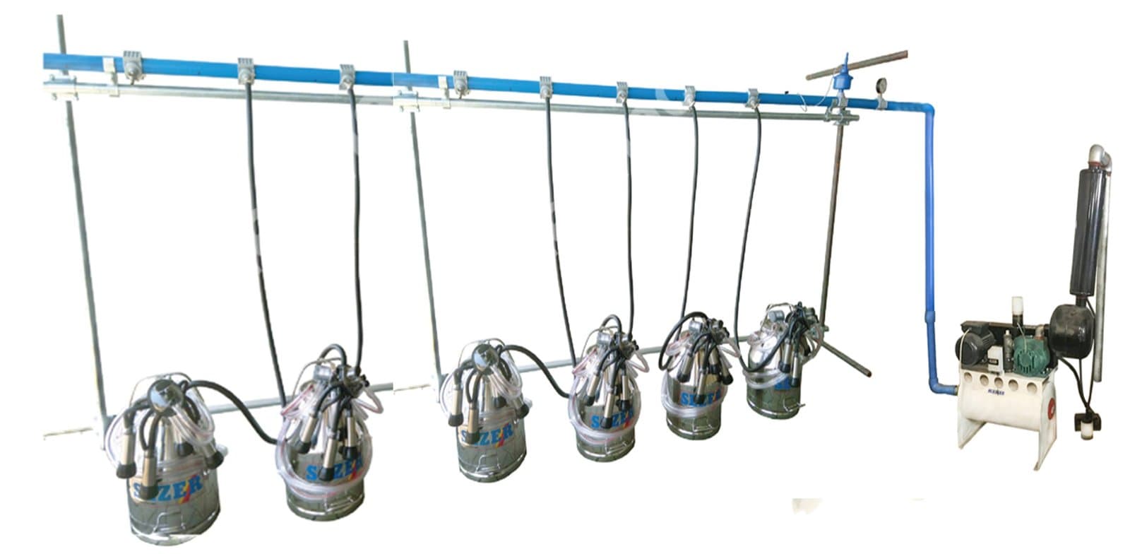 6 LINE MILKING MACHINE