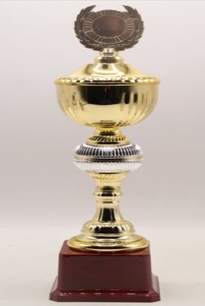 FB2042-A Budget Trophy A 38.5Cm