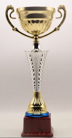 Budget Trophy-B 34Cm 100Mm Metal