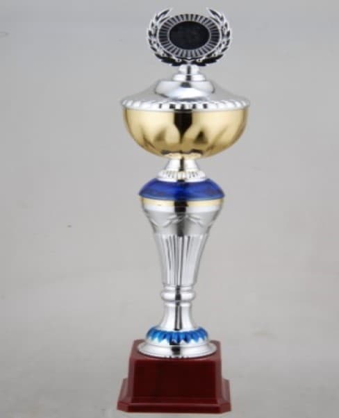 Budget Trophy B 44Cm