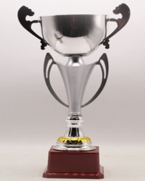 fb2030-c-budget-trophy-c-31cm