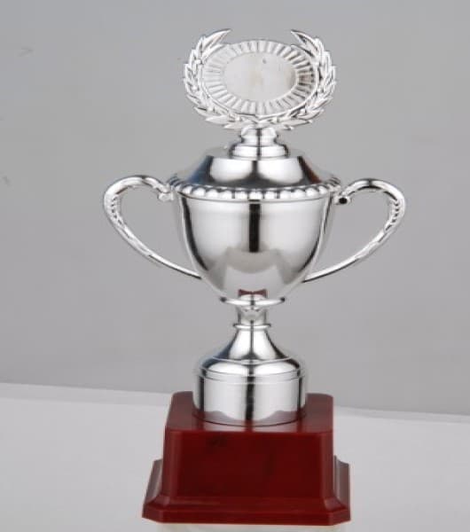 Budget Trophy-B 29Cm 70Mm Plastic