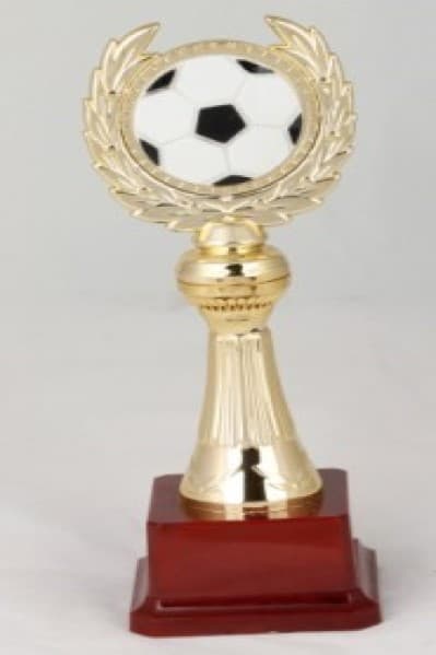 Budget Trophy A With Soccer Ball On Top